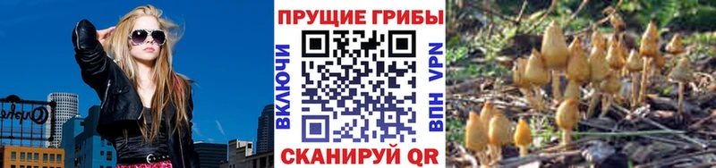 Купить где  Кисловодск  Псилоцибиновые грибы Magic Shrooms 