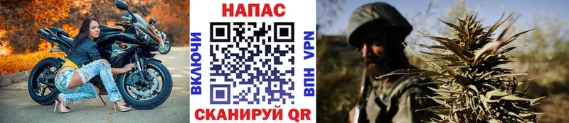 Купить где  Кисловодск  Конопля семена 